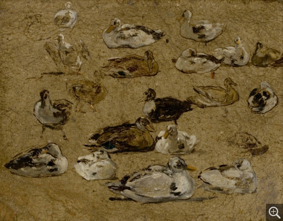 Eugène BOUDIN (1824-1898), Canards, ca. 1853-1859, oil on wood, 24 x 31.3 cm. © MuMa Le Havre / Florian Kleinefenn