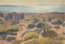 Visite commentée