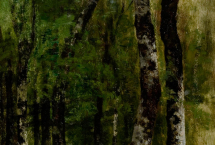Journées de l'arbre