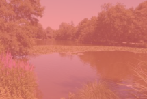 Si le parc de Rouelles m’était conté 