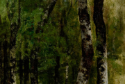 Journées de l'arbre