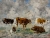 Eugène BOUDIN (1824-1898), Studies of Cows, ca. 1881-1888, oil on canvas, 43.3 x 58.4 cm. © MuMa Le Havre / Florian Kleinefenn