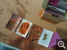 . Récolte © Alexis Debeuf