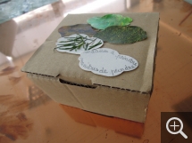 . Récolte © Alexis Debeuf