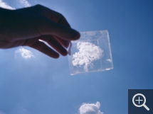 Laurent MILLET (1968), Cloud 010, digital photography, 50 x 70 cm. © Paris, galerie Camera Obscura / Laurent Millet