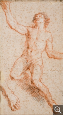Charles DE LA FOSSE (1636-1716), Study for Saint John the Evangelist, red chalk reinforced with Pierre Noire pencil, traces of white chalk, 41.7 x 23 cm. © MuMa Le Havre / Florian Kleinefenn