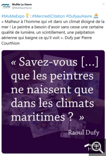 Médiation numérique de l'exposition Dufy au Havre. Capture d'écran