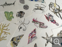 Réalisations des participants. © Teuthis