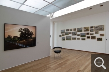Partial view of "Les Territoires du désir" exhibition. Left, Bestiary, Large Landscape III, photograph by Jean-Luc Tartarin, opposite the wall of Cows by Eugène Boudin, right. © MuMa Le Havre / Charles Maslard