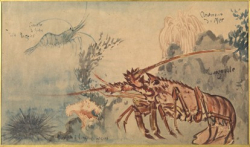 Le fond de la mer de Jean-Francis Auburtin