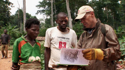 © Marie Voignier / Capricci Films / L' Âge d’or / L' Espace croisé