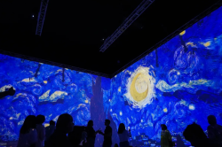 Les nuits étoilées de Van Gogh / © DR